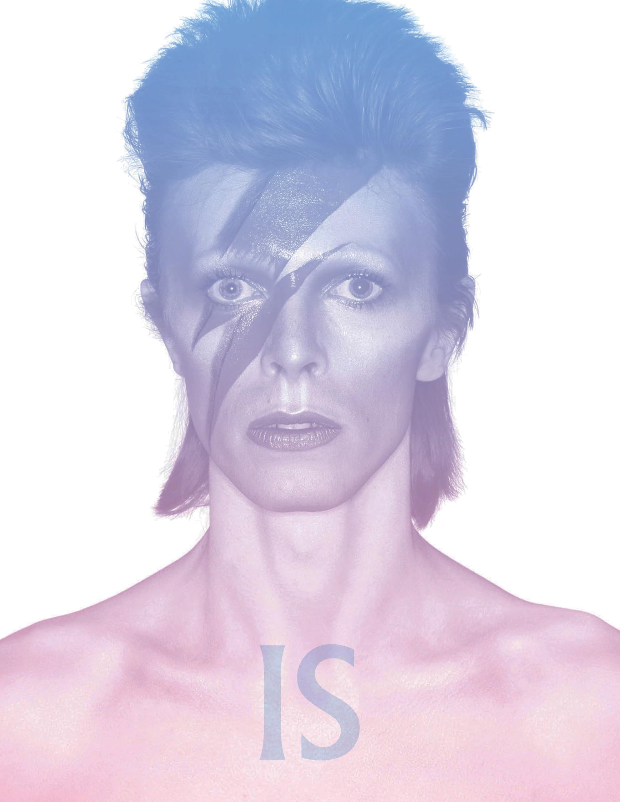 Amazon | David Bowie Is: Inside the Visionary World of David Bowie