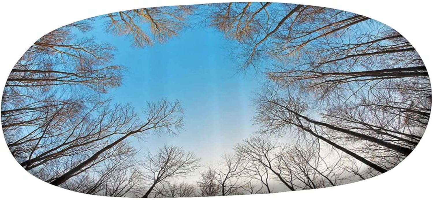Fitted Oval Tablecloth, Forest Decor Elastic Edged Polyester Table Cover,Leafless Crown of Trees with Clear Air Tranquil Twig Print Fitted Table Pad, Fits Oval Tables up to 36" x 60", for Party