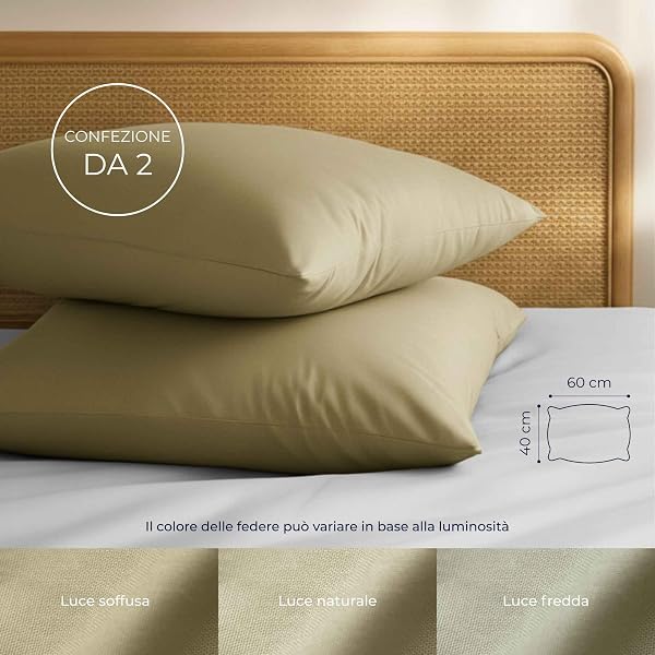 Federe 40x60 Cotone Rinforzato (Set da 2) - Beige - Trama Fitta a 57 Fili/cm² - Federe Cuscini 40x60 cm - Federe Cuscino 40x60 Certificate Oeko Tex - Dreamzie - 2