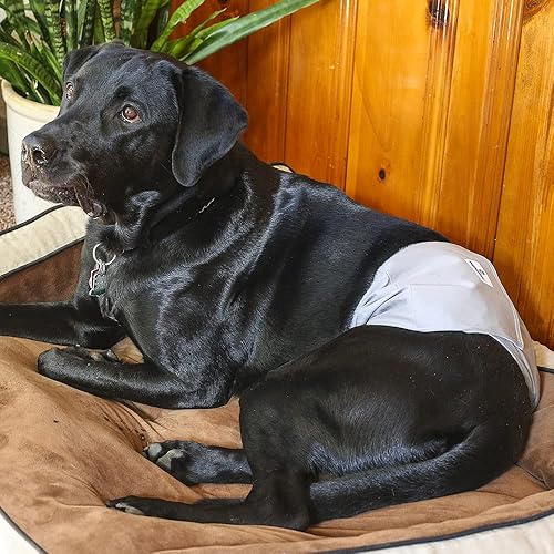 Miniatura 9 de Pet Parents Bandas de vientre lavables de alta calidad paquete de 3 de pañales para perros machos envolturas para perros machos banda para el