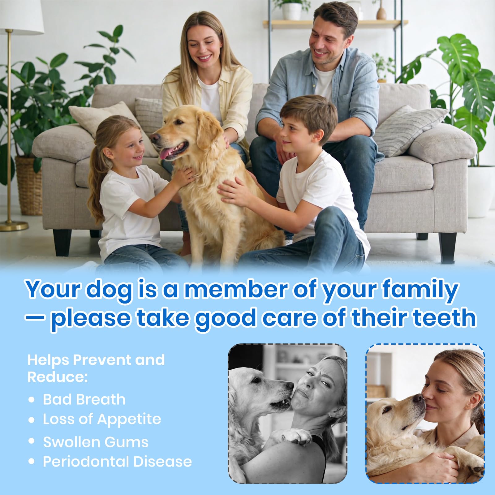 Dents pour chien, nettoyeur de dents à ultrasons avec lumière LED, kit de nettoyage pour tartre et taches, 5 modes réglables, kit de nettoyage des dents d'animaux domestiques, convient pour chiens et