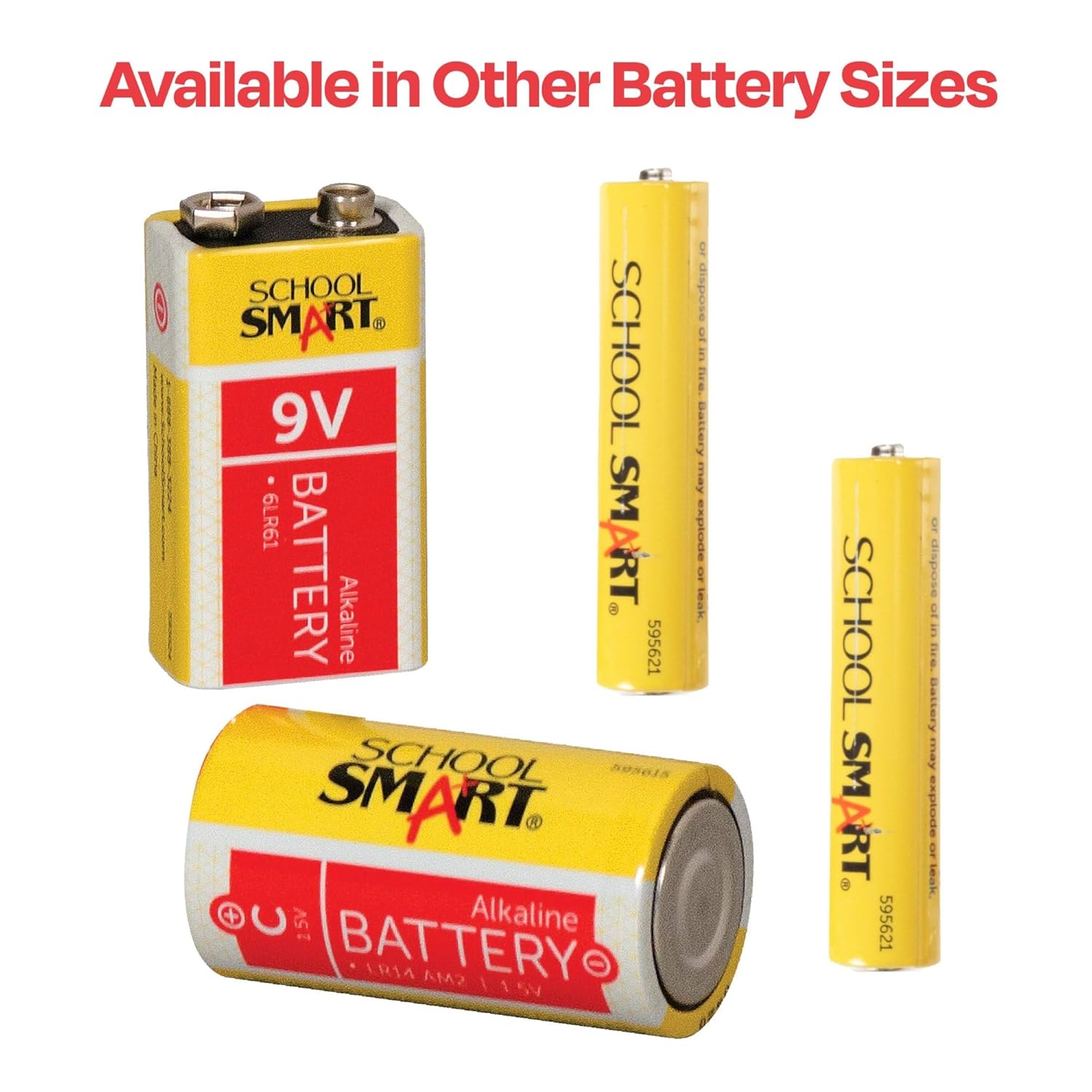 School Smart AA Alkaline Batteries (Pack of 24) - 084985