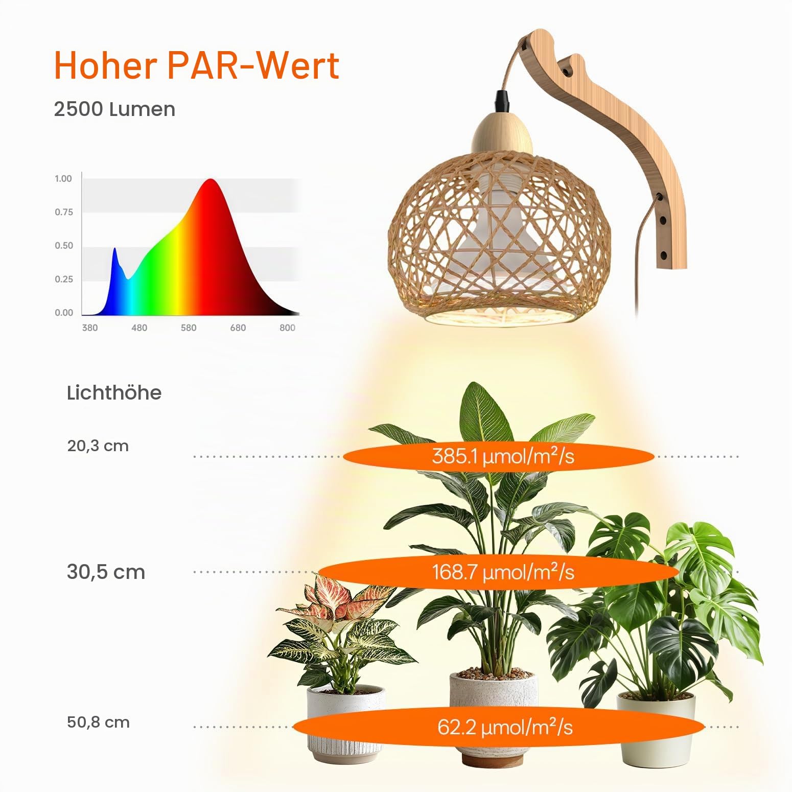 Bstrip Wand-Pflanzenlampe mit Boho-Rattanschirm, 18W, 3800K