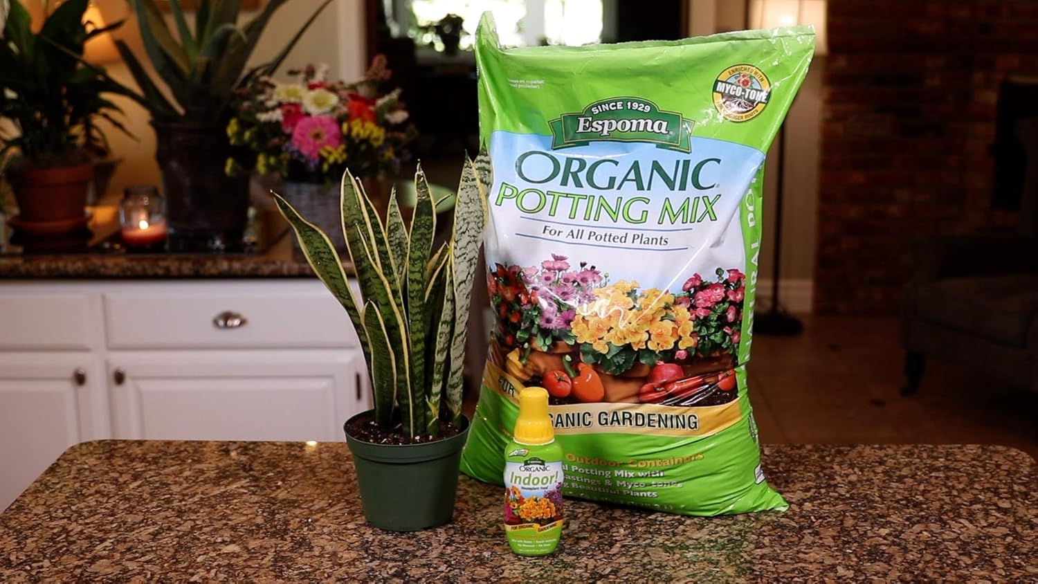 Espoma Potting Mix, Natural & Organic, for Indoor & Outdoor Potted Plants, 8 qt, Pack of 6