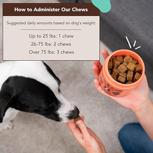 Miniatura 8 de Natural Dog Company Paquete de bienestar para perros, multivitaminas para perros, para cachorros y personas mayores, suplementos para la piel y el