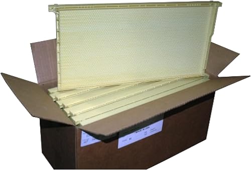 Mann Lake Premium Beekeeping Frames, All-in-One Frame & Foundation, Beeswax Coating, Universal Fit, BPA & BPS Free, 9 1/8 Inches, Natural, 10-Pack