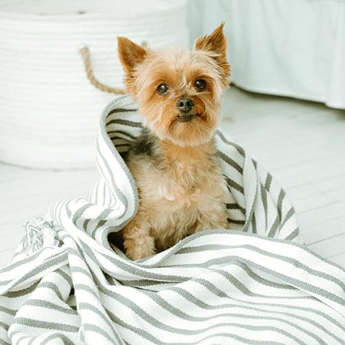 Miniatura 5 de Earthbath Champú ultra suave para cachorros de cereza silvestre, sin lágrimas y extra suave para la piel sensible de los cachorros, aloe vera,