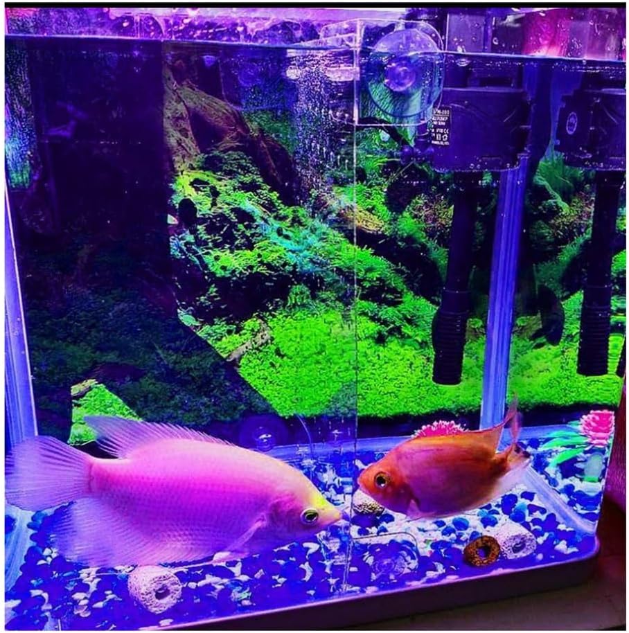 Aquarium Fish Tank Divider, Fish Tank Isolation Board Free Cutting Partition Plate Cut Off Partition Baffle Small Hole Mesh Prevent Fish Fight