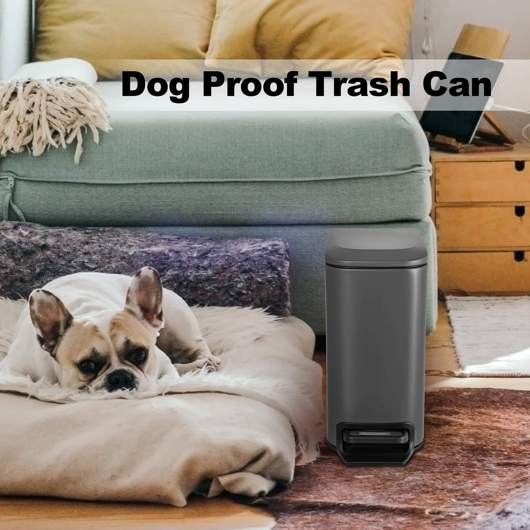 https://m.media-amazon.com/images/I/71DCTEspzLL.jpg