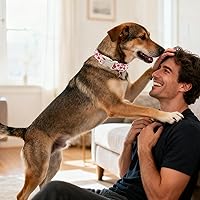 Vista 106 de DOGWONG Collar de perro Airtag de algodón y cáñamo, collar resistente para perros con soporte para Airtag, collares verdes para perros pequeños