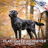 Vista 127 de Razas de Perros 2017