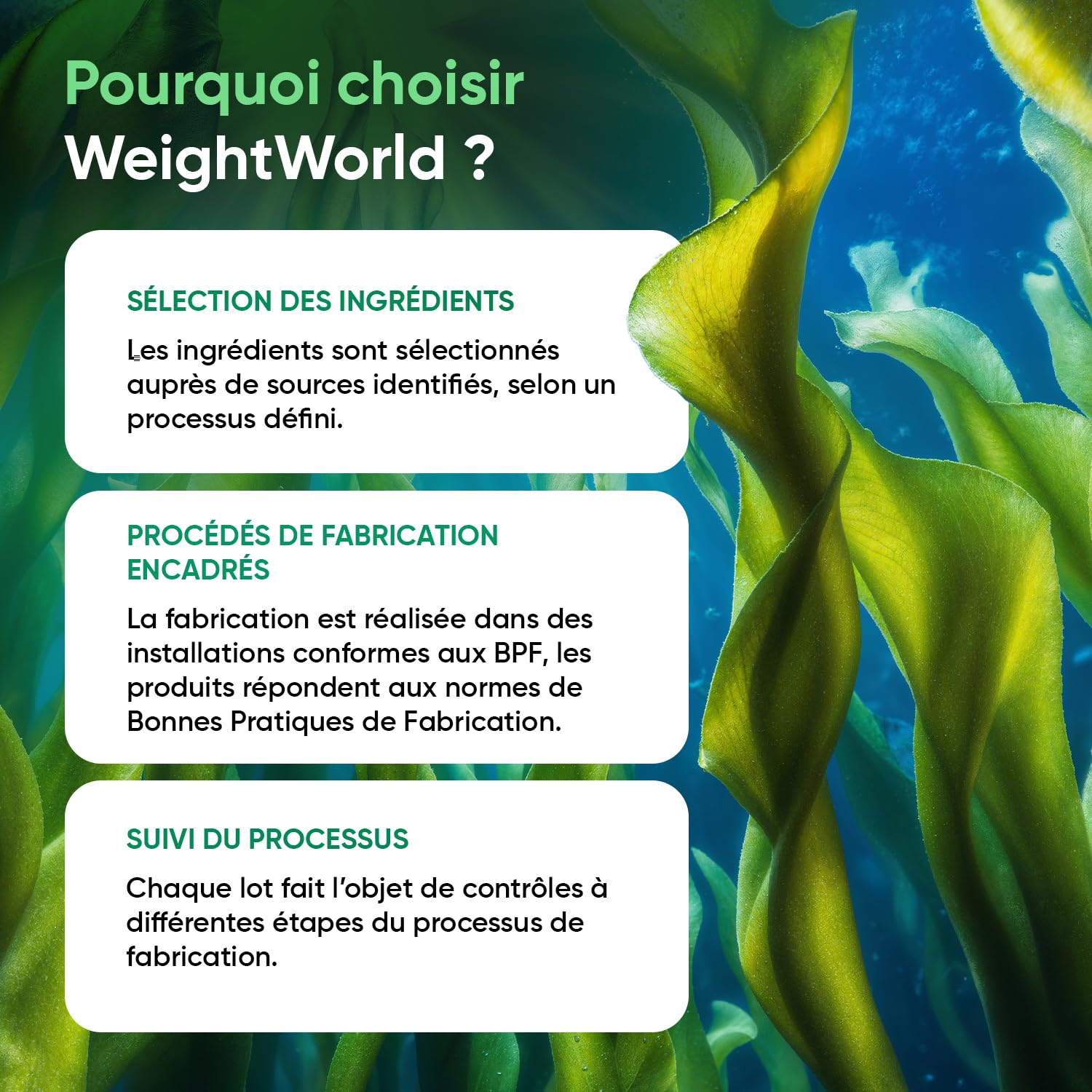 Omega 3 Vegan - Huile d'Algues en Gelules 2000mg Omega 3 DHA EPA - 90 Gélules Molles Vegan sans Huile de Poisson (Fish Oil) ni Huile de Krill