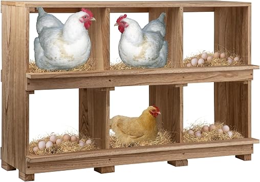 Neoaider Nesting Boxes for Chickens 6 Compartment, Wall-Mounted Wooden Chicken Nesting Box, Ensuring Comfortable Egg Laying, Preventing Egg Falls, Perfect for Backyard and Poultry Farms