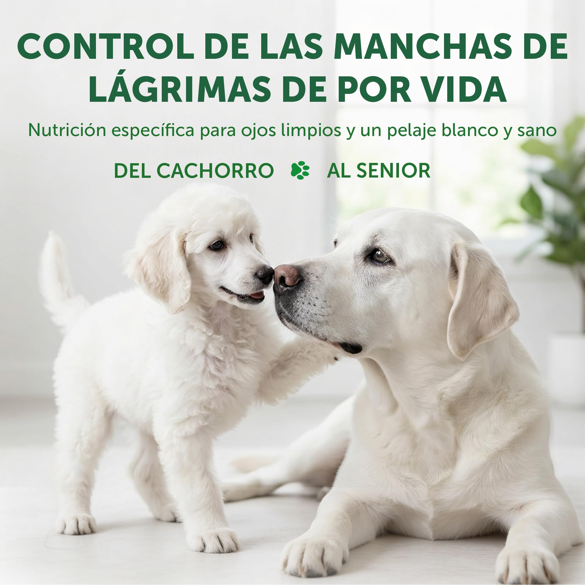 Nature's Protection Superior Care Pienso Todas Las Edades, Pez Blanco 4 kg | Con arroz, Antimanchas lagrimales, pelaje blanco brillante, Croquetas grandes, Pelajes blancos/claros, Cachorros y adultos