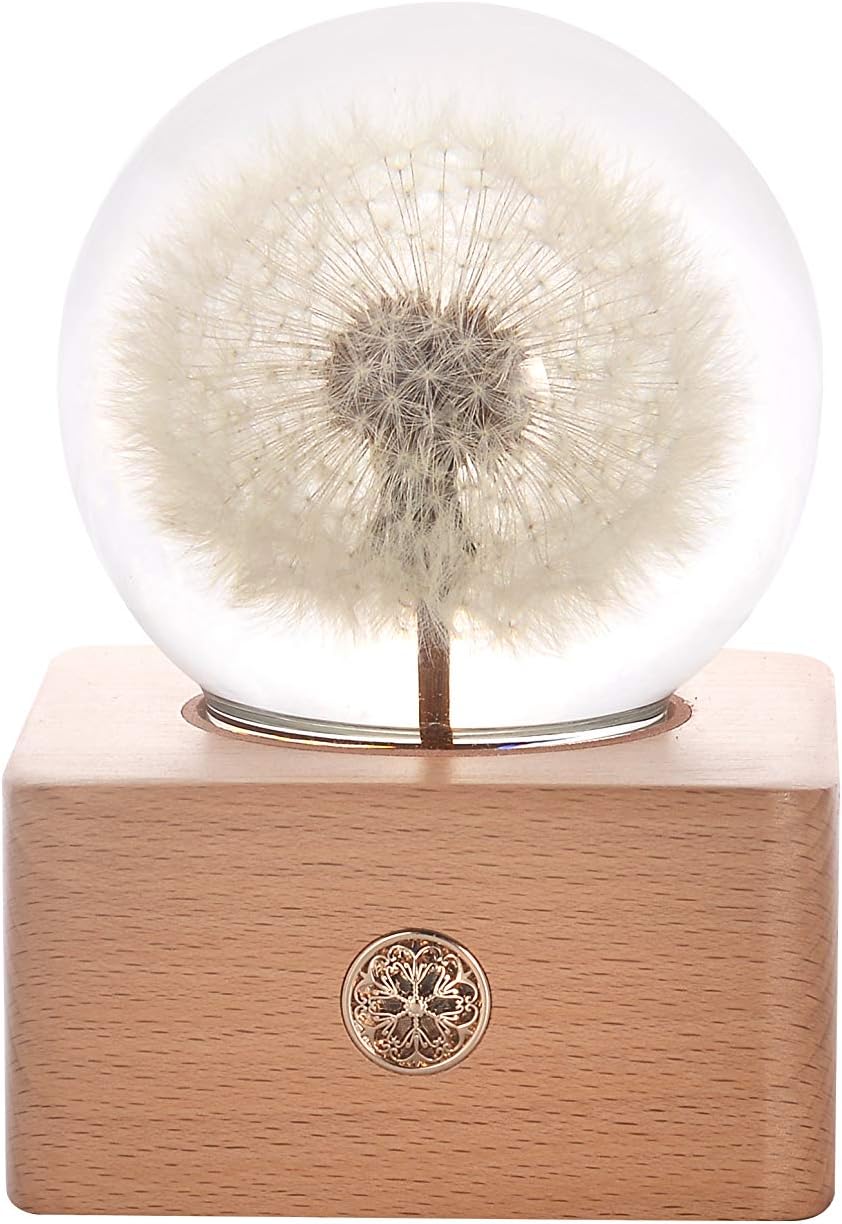 MISS LI GARDEN Forever Dandelion Crystal Ball Gifts for Wife Women Anniversary Mother Birthday Valentines Day 1-dandelion