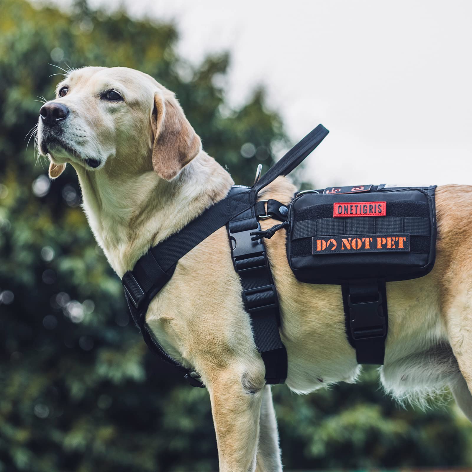 OneTigris Guardian Arnés para Perros Traje, Servicio Arnés para Perros con 3 Anillos D de Acero Inoxidable y Bolsillo de Gran Capacidad, Correa de Pecho con Cómodo Acolchado - Negro