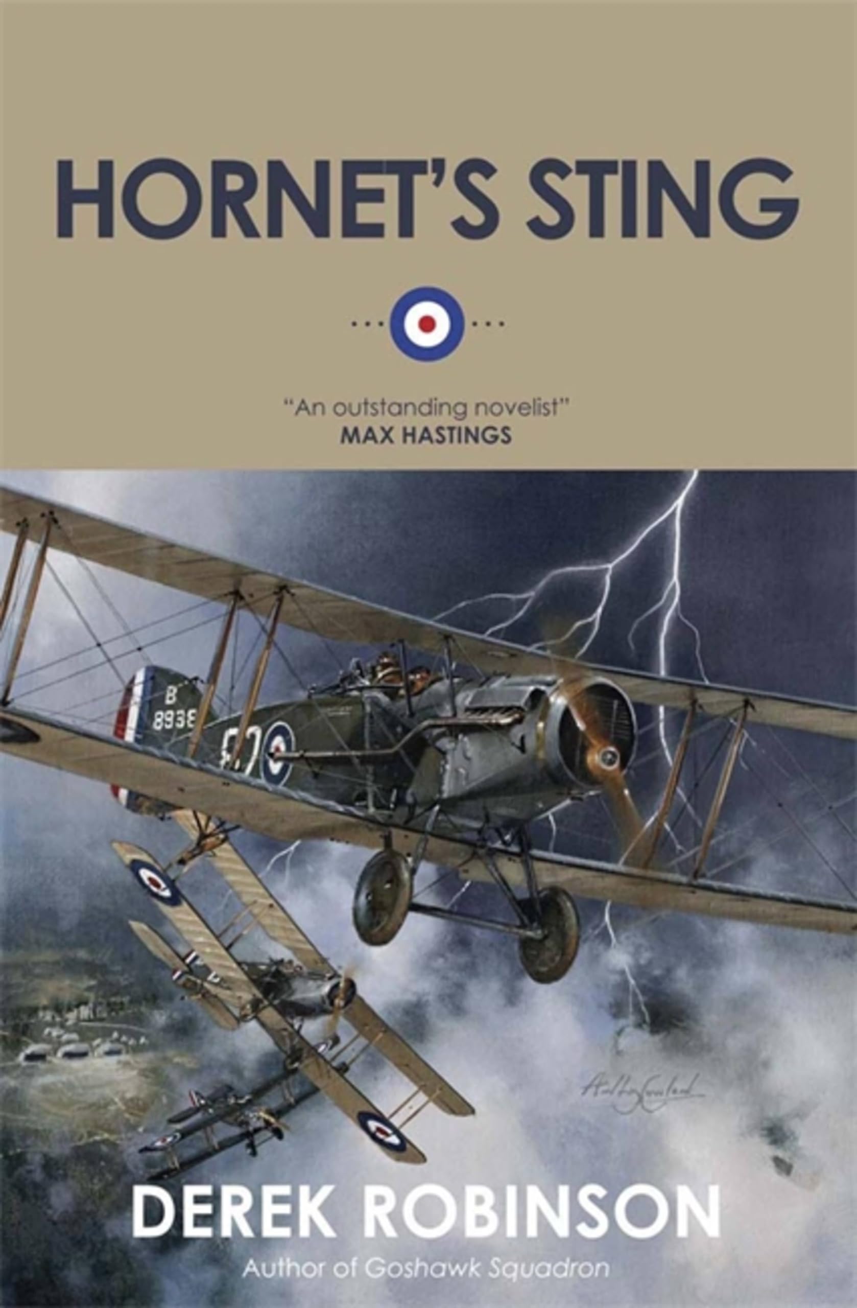 Hornet's Sting by Derek Robinson (Paperback Book)