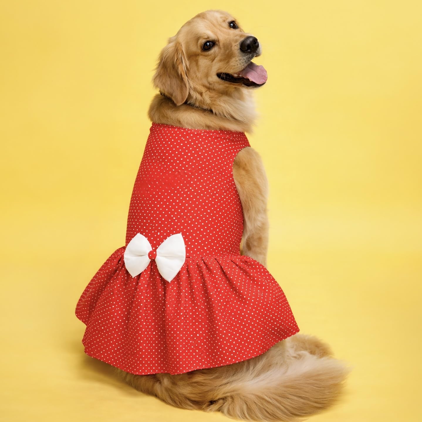 That Dog In Tuxedo Dog Dress Retro Polka Dress Clothes For Dogs/Cats (26) - Red, 1 Count-picture-21