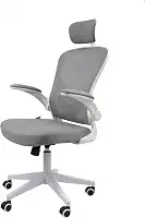 Cadeira Ergonômica Eurynom, Giratória, para Escritório e Home Office, com Encosto Reclinável, Braços Pivotantes, Apoio de Cabeça, Apoio Lombar (Cinza)