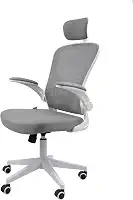 Cadeira Ergonômica Eurynom, Giratória, para Escritório e Home Office, com Encosto Reclinável, Braços Pivotantes, Apoio de Cabeça, Apoio Lombar (Cinza)