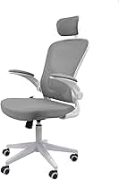 Cadeira Ergonômica Eurynom, Giratória, para Escritório e Home Office, com Encosto Reclinável, Braços Pivotantes, Apoio de Cabeça, Apoio Lombar (Cinza)