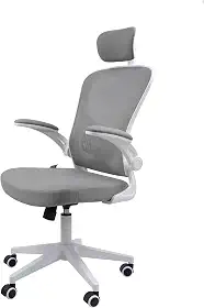 Cadeira Ergonômica Eurynom, Giratória, para Escritório e Home Office, com Encosto Reclinável, Braços Pivotantes, Apoio de Cabeça, Apoio Lombar (Cinza)