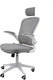 Cadeira Ergonômica Eurynom, Giratória, para Escritório e Home Office, com Encosto Reclinável, Braços Pivotantes, Apoio de Cabeça, Apoio Lombar (Cinza)