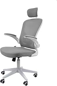 Cadeira Ergonômica Eurynom, Giratória, para Escritório e Home Office, com Encosto Reclinável, Braços Pivotantes, Apoio de Cabeça, Apoio Lombar (Cinza)