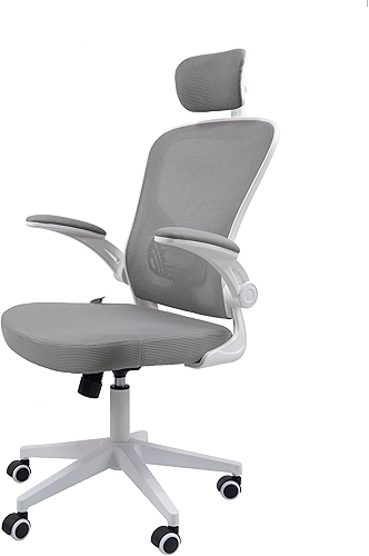 Cadeira Ergonômica Eurynom, Giratória, para Escritório e Home Office, com Encosto Reclinável, Braços Pivotantes, Apoio de Cabeça, Apoio Lombar (Cinza)