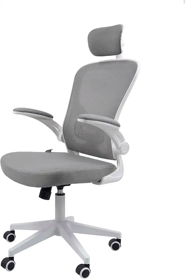 Cadeira Ergonômica Eurynom, Giratória, para Escritório e Home Office, com Encosto Reclinável, Braços Pivotantes, Apoio de Cabeça, Apoio Lombar (Cinza)