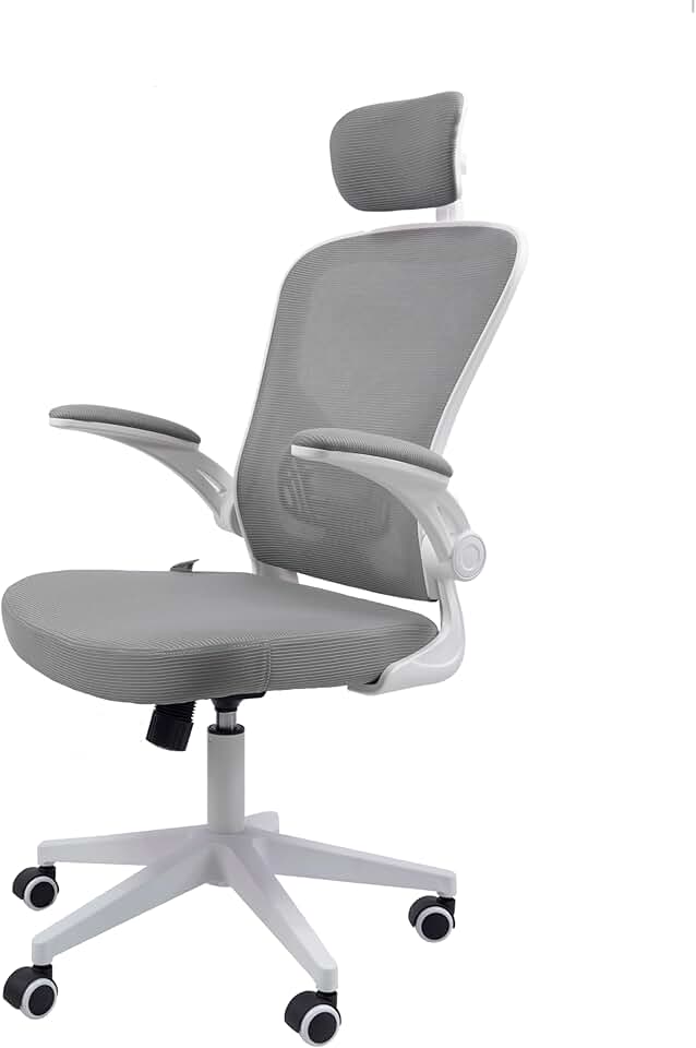 Cadeira Ergonômica Eurynom, Giratória, para Escritório e Home Office, com Encosto Reclinável, Braços Pivotantes, Apoio de Cabeça, Apoio Lombar (Cinza)