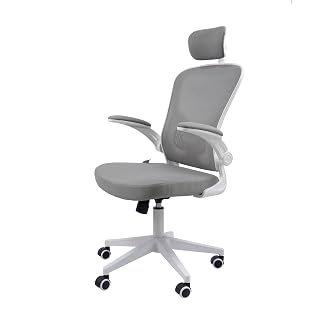 Cadeira Ergonômica Eurynom com Encosto Reclinável e Braços Pivotantes