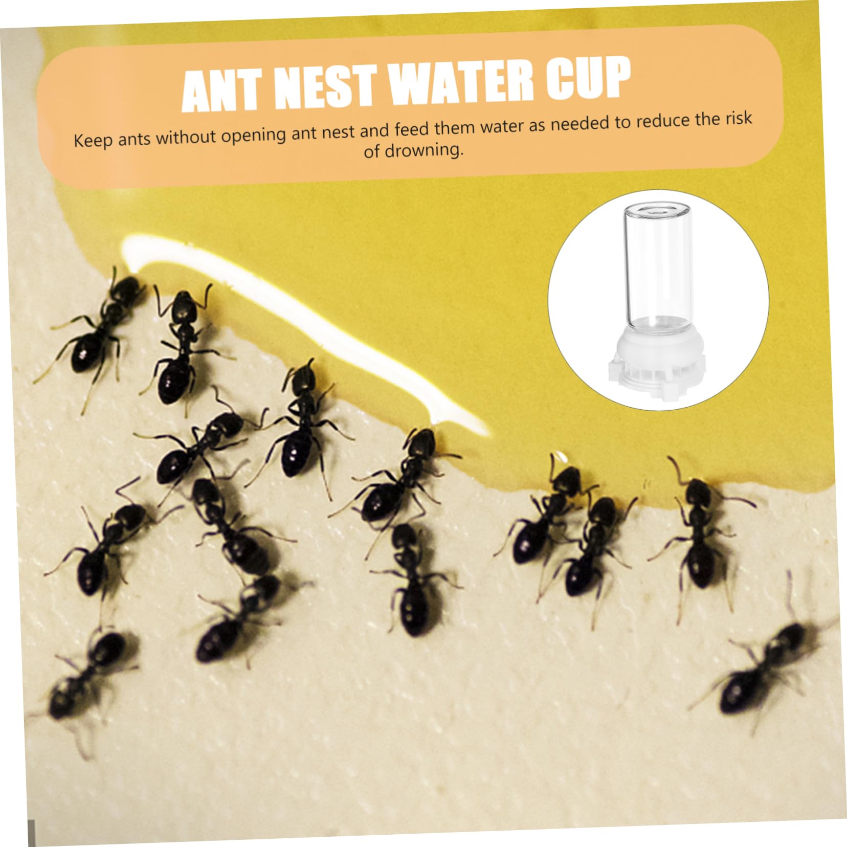 Mangiatoia Per Formiche Con Ciotola Per Acqua - Alimentatore Automatico Per Formicaio - Foto 7