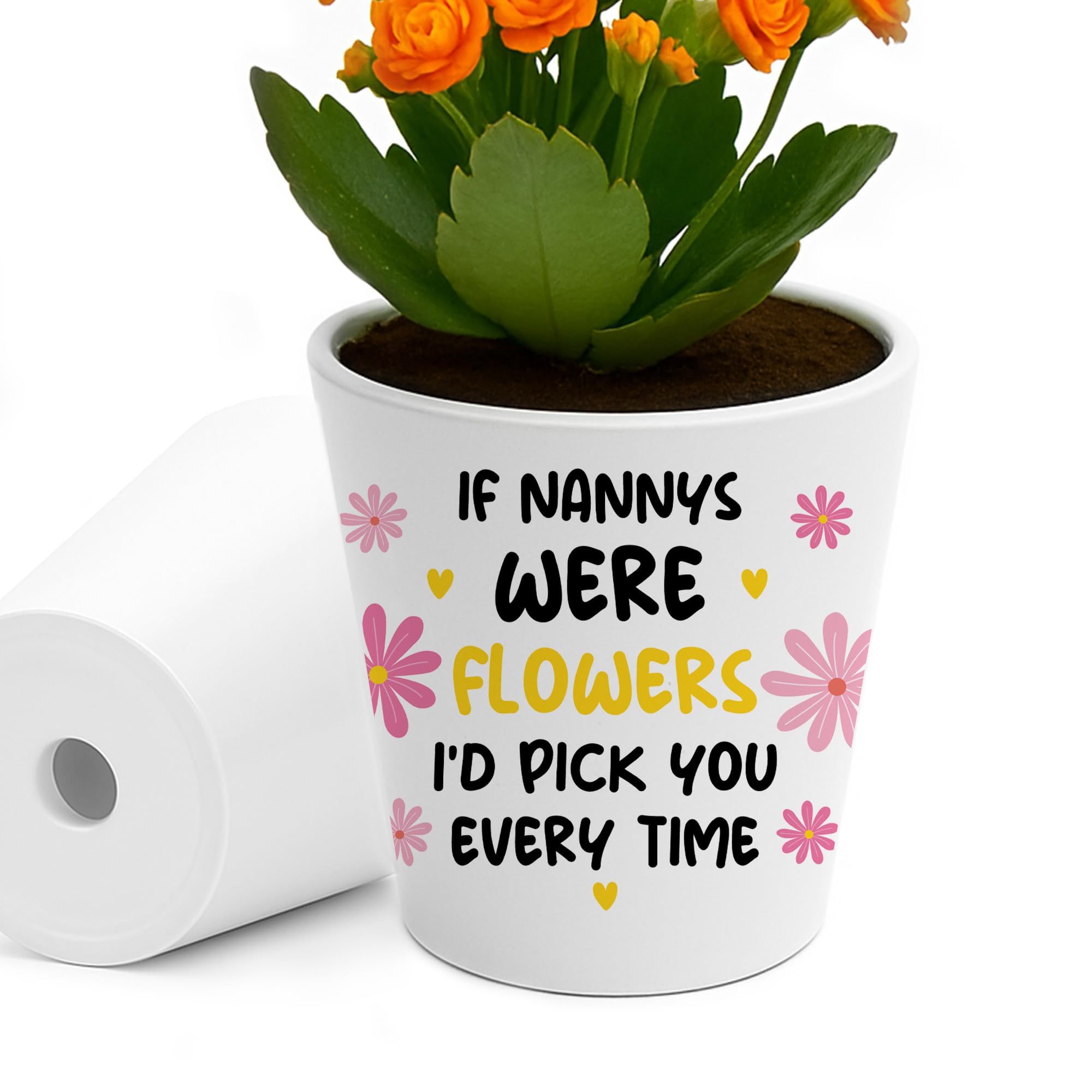 RED OCEAN Cute Nanny For Birthday Christmas Plant Pot Grandparent For Nanny From Grandchildren Thank You Present Her Keepsake