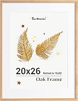 Vista 707 de Fun Memories Portarretratos de metal de 16 x 20 pulgadas con paspartú de 11 x 14 pulgadas, acabado de aluminio cepillado, parte delantera de vidrio