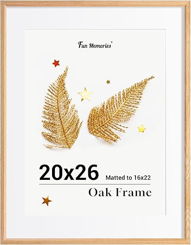 Miniatura 707 de Fun Memories Portarretratos de metal de 16 x 20 pulgadas con paspartú de 11 x 14 pulgadas, acabado de aluminio cepillado, parte delantera de vidrio