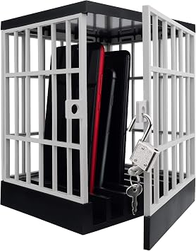 Gemaxvoled Cell Phone Jail Lock Box, Gold Mobile Phones Prison Lockable Cage for Classroom Family Time Party Grey