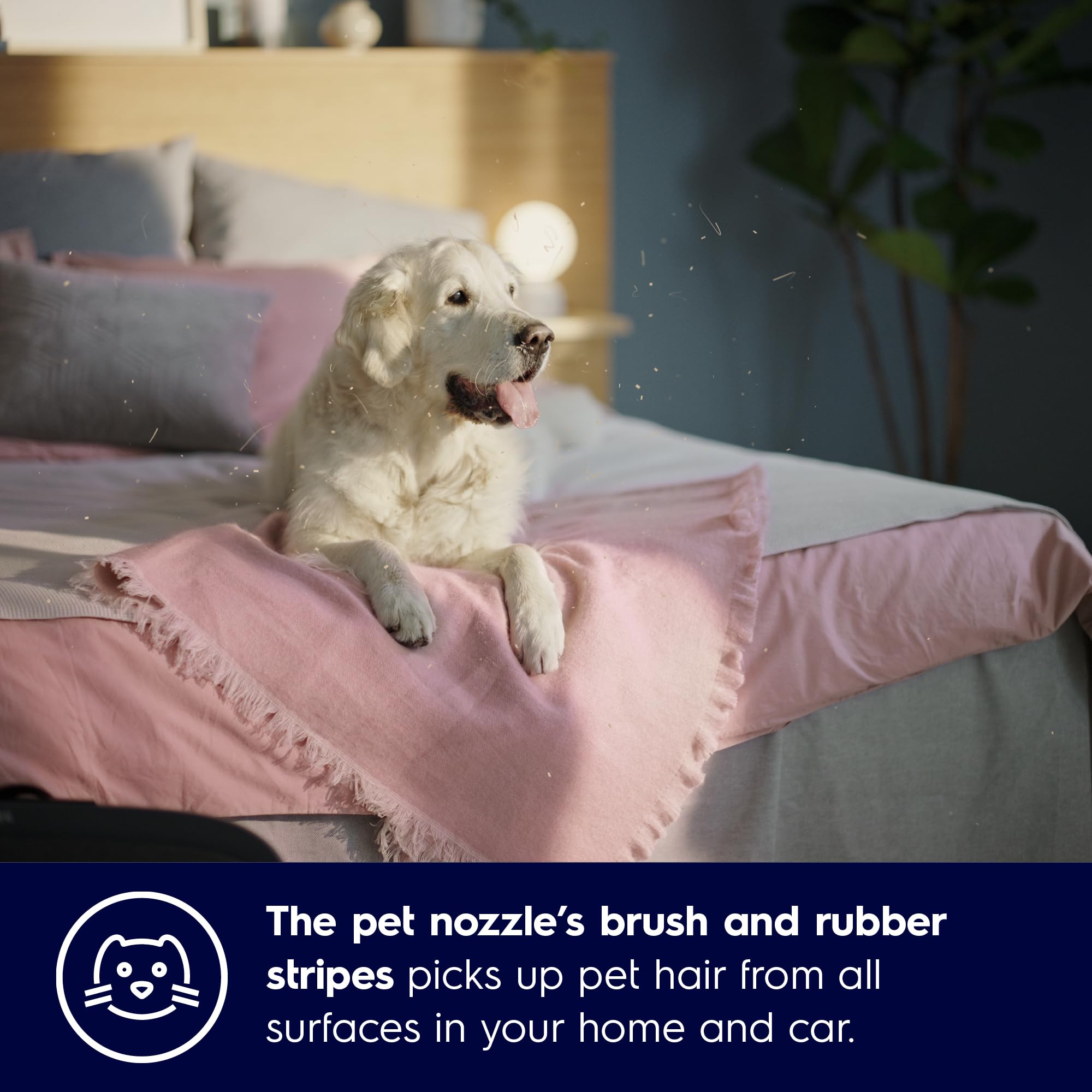 Amazon.co.jp: エレクトロラックス(Electrolux) PET PRO+ノズル