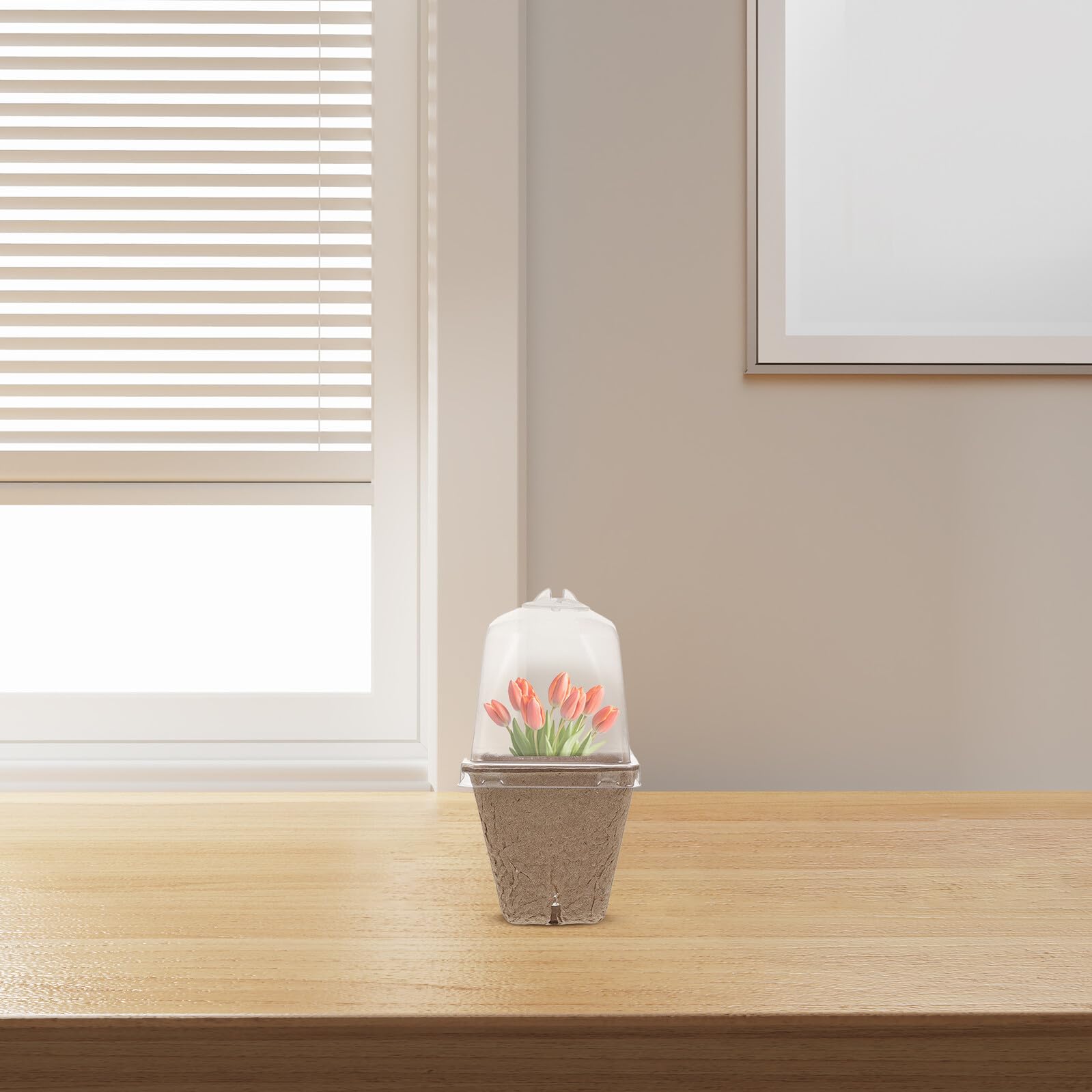 SHINEOFI 36 pièces Pots de Semis Carrés en Fibre de Papier avec Couvercle à Humidité Pots de Plantes pour Jardinage Optimisés pour Gain de Place et Croissance des Semis