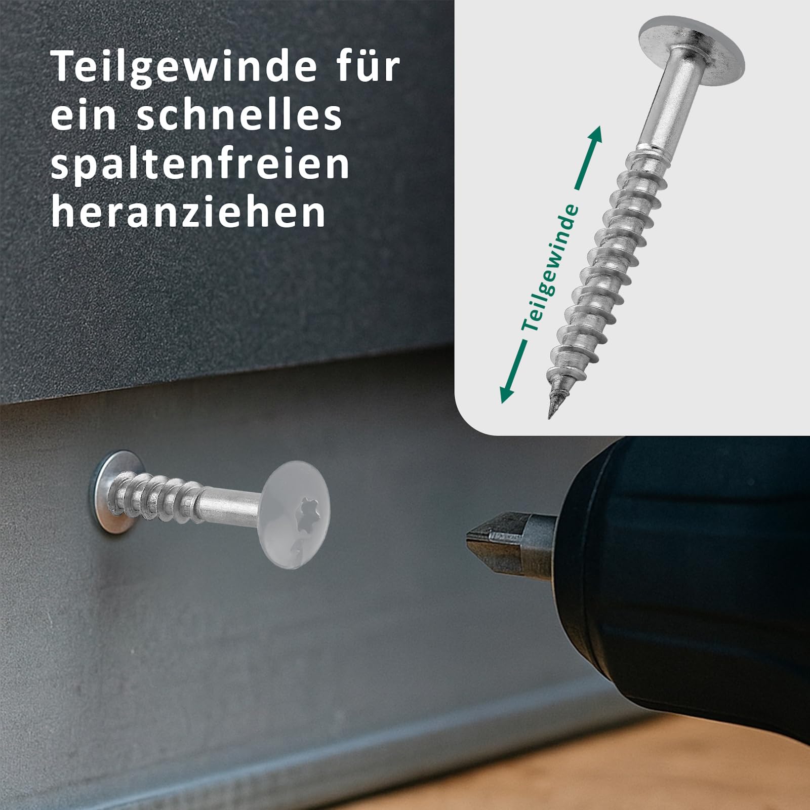 DSM Tornillos de fachada Trespo 4,8 x 38 mm, gris polvo RAL 7037, acero inoxidable A2, cabeza redonda plana con accionamiento TX, autorroscantes y resistentes a la corrosión, tornillos para madera
