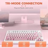 DAREU EK75PRO Sakura Pink Wireless Mechanical Gaming Keyboard,75% Hot Swap Creamy Keyboard with Knob,RGB Backlit,Gasket Custom Structure,Side Printed PBT Keycaps,2.4Ghz/BT5.1/USB-C, for Win/MAC - 8