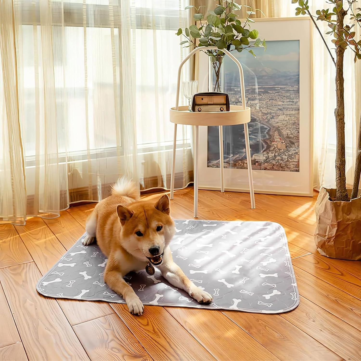 6er Welpenunterlage Waschbar Puppy Training Pads, 40 x 60cm Trainingsunterlagen,auslaufsicher und rutschfest Hundeurinpads, saugfähige Unterlage für Welpen, Alte Hunde oder inkontinente Hunde