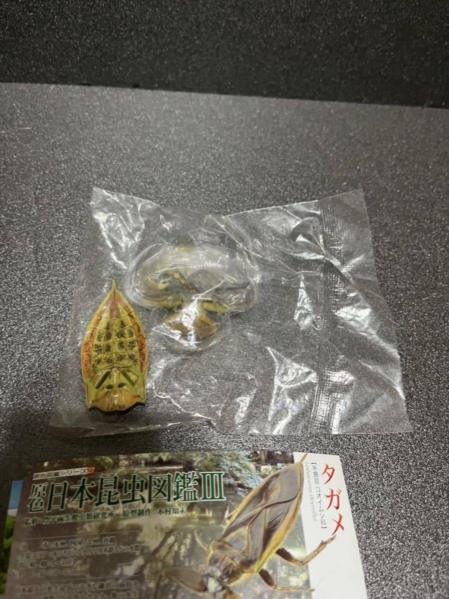 Amazon | 原色日本昆虫図鑑 Ⅲ 単品 タガメ ガチャ フィギュア