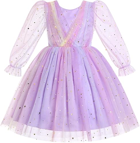 Toddler Kids Girls Spring Fall Long Puff Sleeve Floral Embroidery Ruffle Tulle T