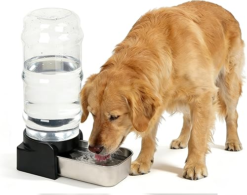 PAKEWAY Dispensador automático de agua para perros por gravedad – 2.3 galones / 8.6 L de gran capacidad de acero inoxidable para perros medianos a