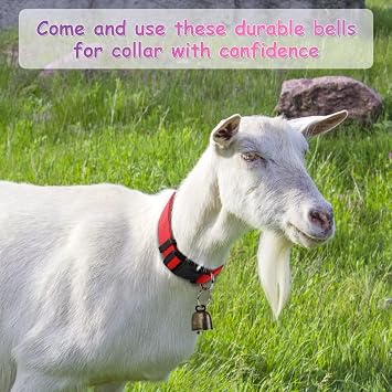 Ziegenhalsbänder mit Glöckchen, Kuh, Pferd, Schaf, Weideglocken aus Kupfer und verstellbarem Nylon-Halsband, für Haustiere, Anti-Lost, laute Bronze-Glocke, Zubehör, 5 Stück | Adjustable Nylon Collar & Sheep Grazing Copper Bells for Small Farm Animal Sheep Calf Cow Accessories(13.7-20.5)