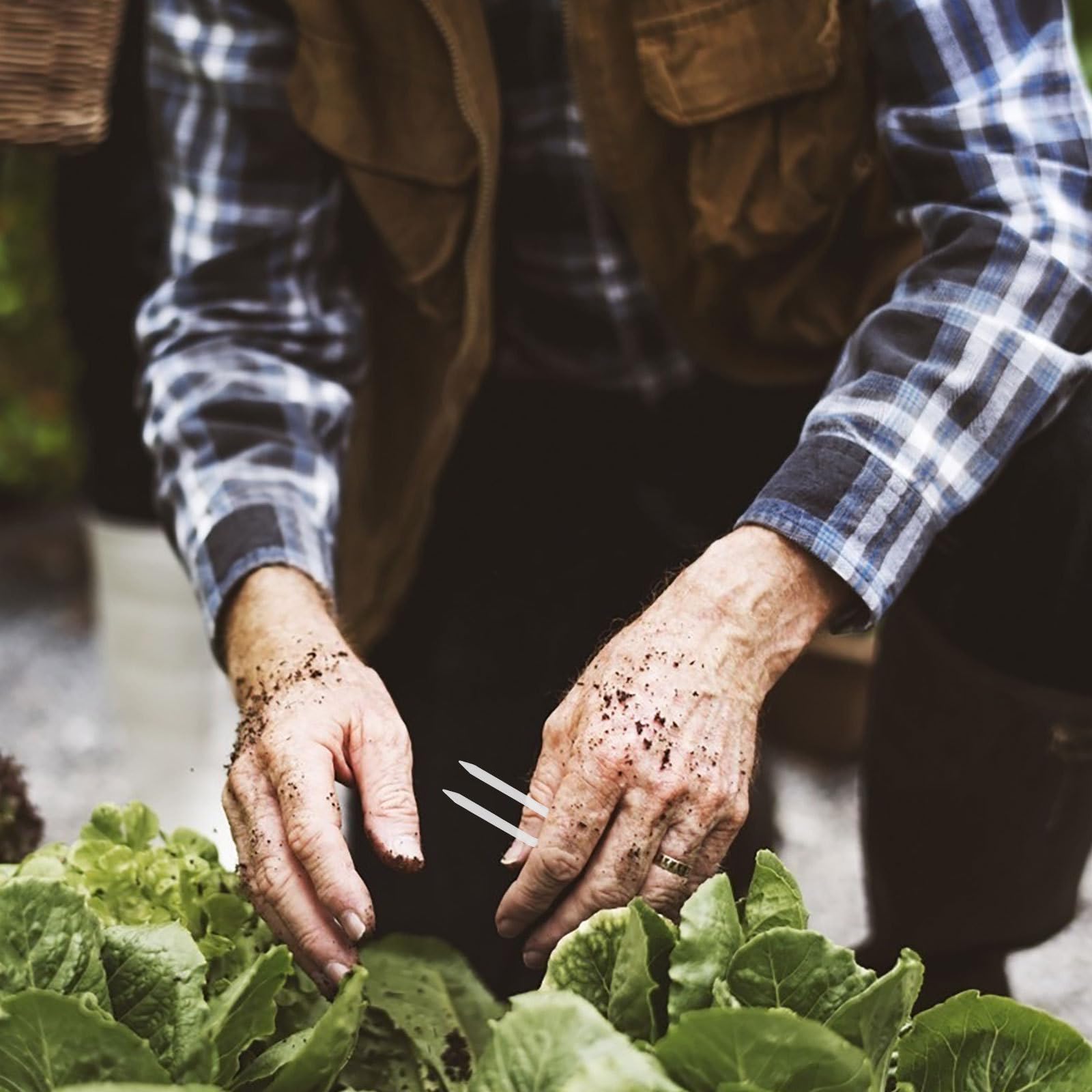 Angoily 1 Jeu de Tuteurs pour Plantes d'intérieur - Fourches à Planter Les fraisiers pour la Terre et Le Jardin - Clips de Fixation pour tiges de Jardin - Tuteurs en Plastique - Fournitures de