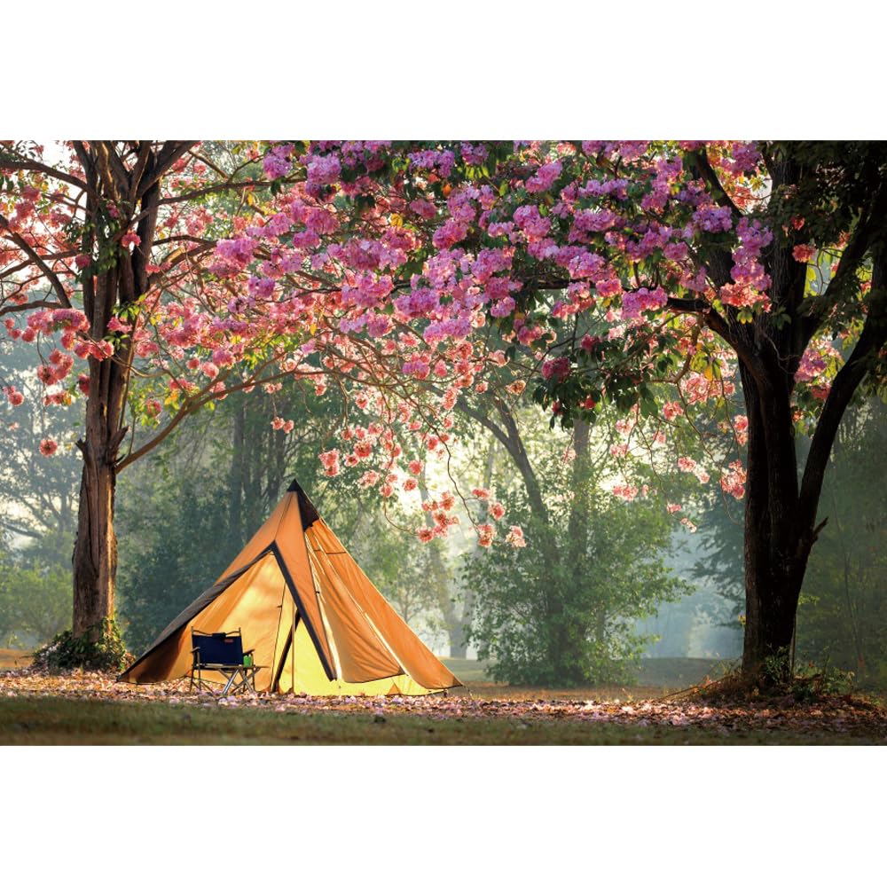 zelten im frühling Tincceer Camping Hintergrund 180x120cm Kirschblüten Blühender Wald Entspannung Fotografie Hintergrund Zelt Rosa Blume Bäume Fotografie Hintergrund Elektronik & Foto Gearbox and Transferbox Ratio:3.90 Visiting Dachau Concentration Camp