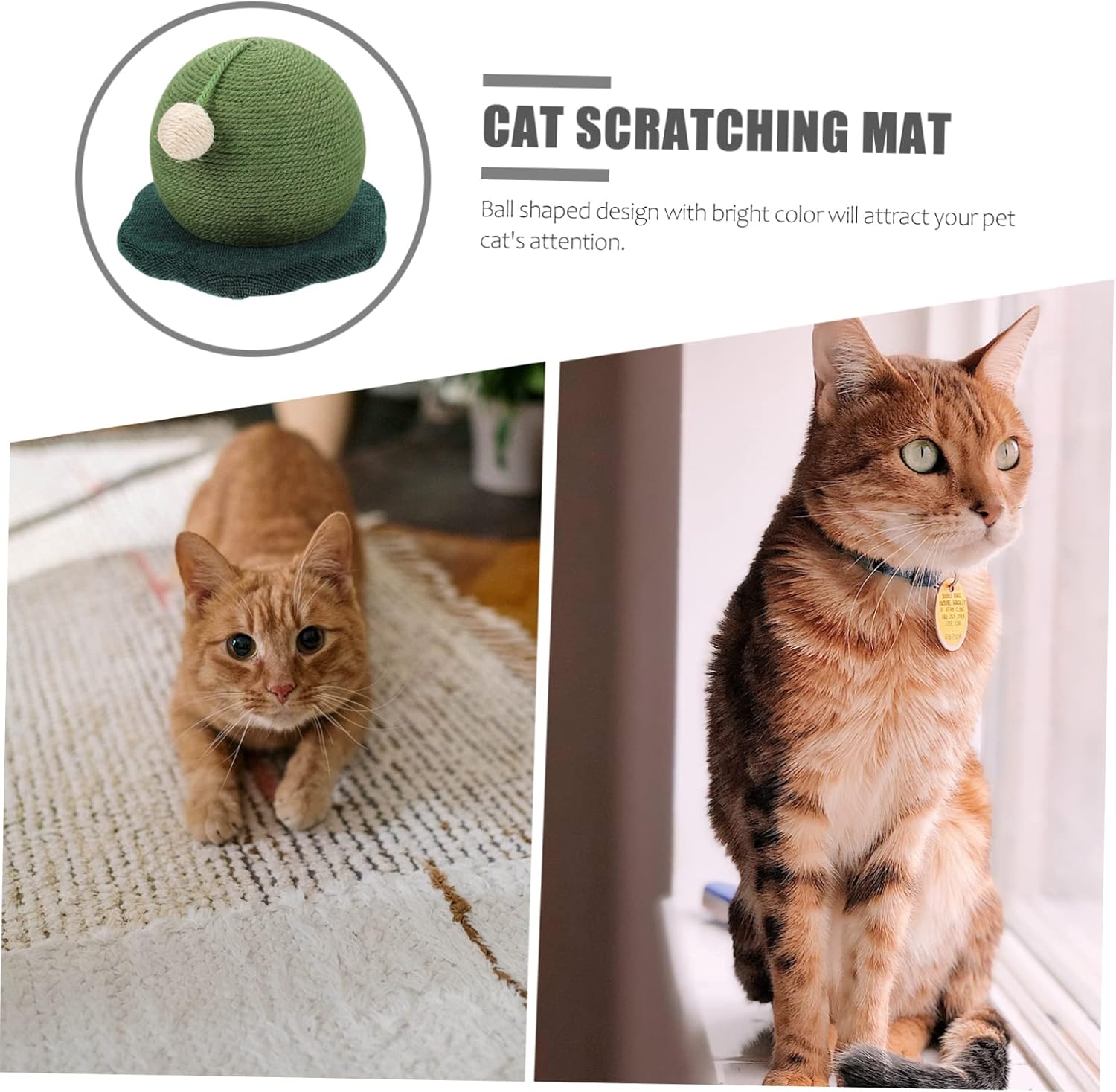 HEMOTON Cactus Cat Scratching Post Climbing Frame and Toy Interactive Cat Toy for Scratching Grinding and Play Home Decor Deep Design