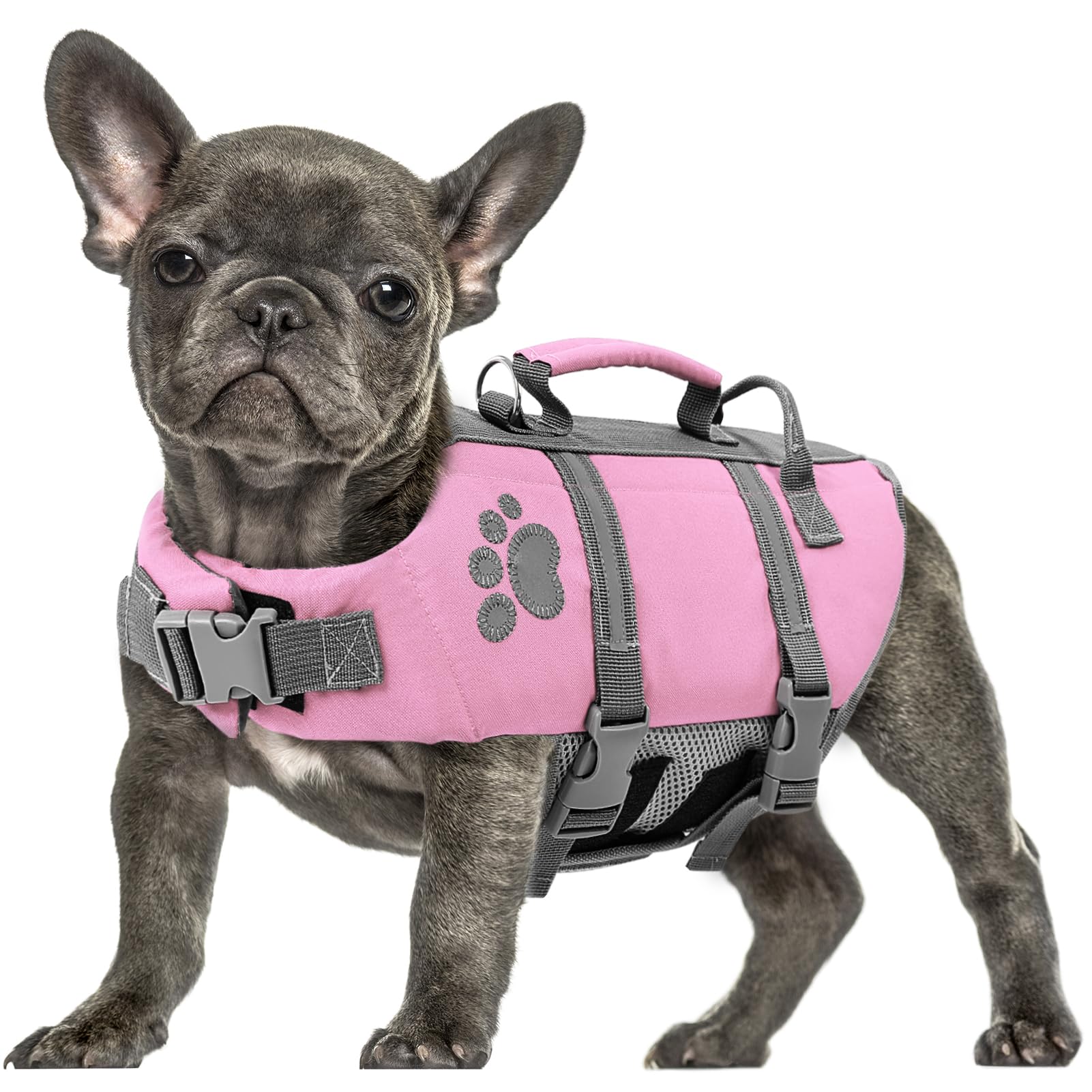 Queenmore Salvagente Bassotto, Con Maniglia Di Salvataggio, Giubbotto Salvagente Per Cani Grandi, Bassotto, Nuotare, Kayak, Paddleboarding, Rosa, L